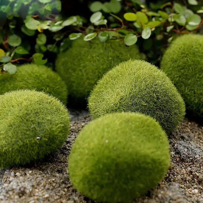 Fluffy Wool Stone for Micro Landscape Bonsai Decor