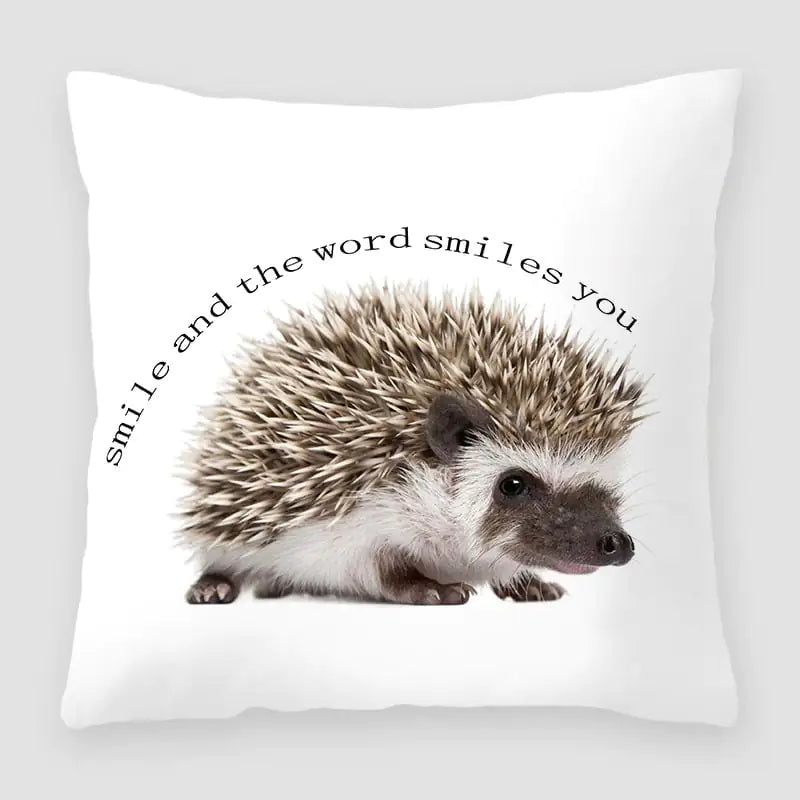 Cartoon Fashion Peach Skin Velvet Cross Border Pillow