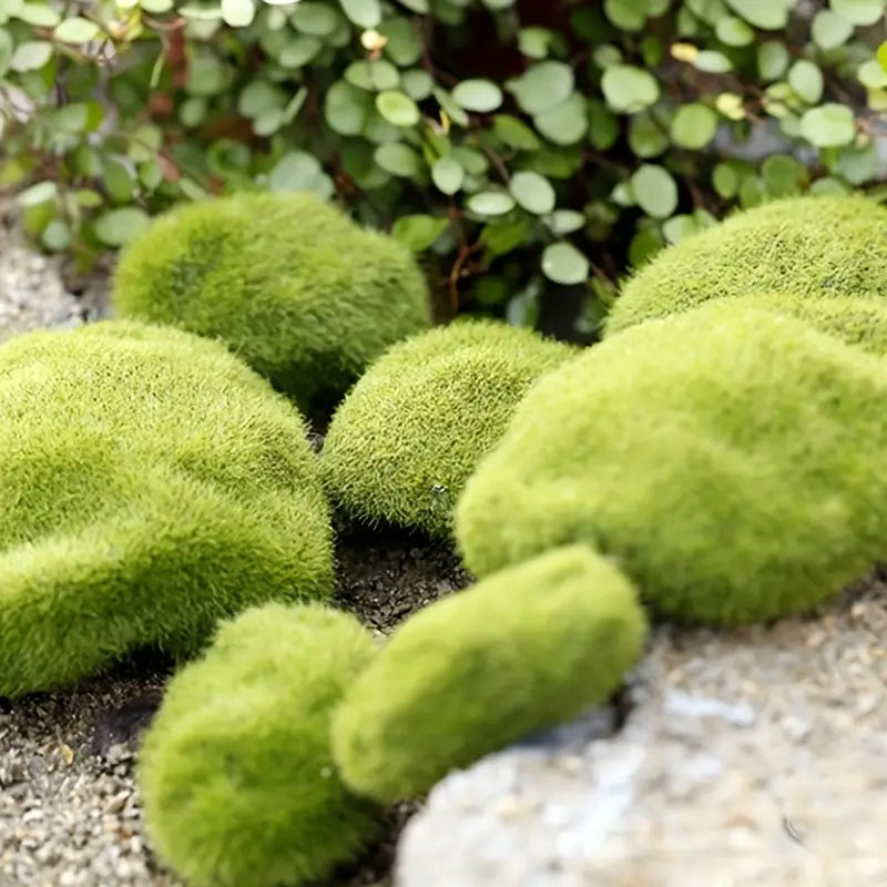 Fluffy Wool Stone for Micro Landscape Bonsai Decor