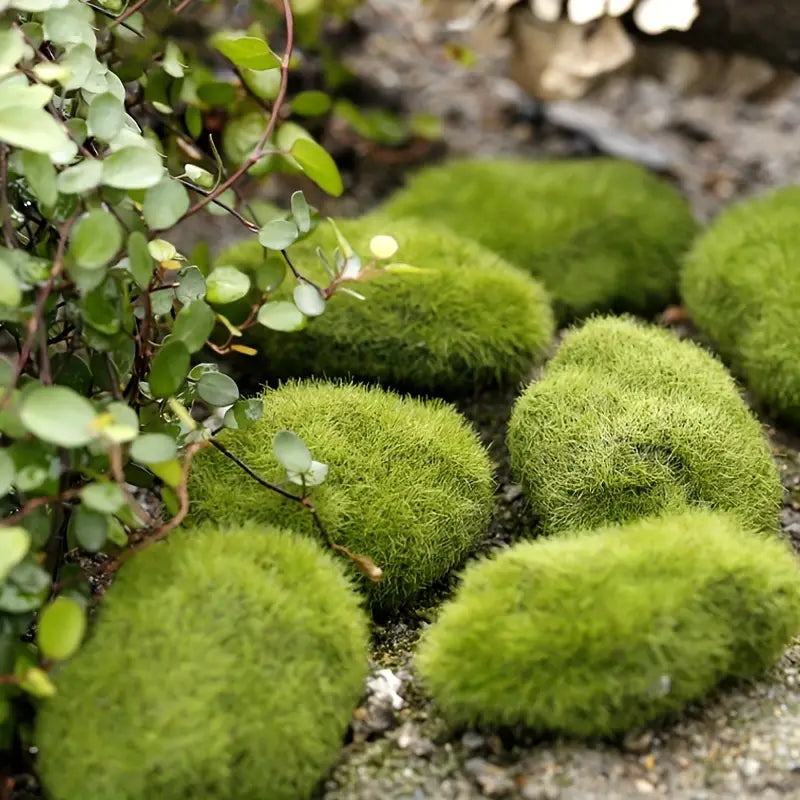 Fluffy Wool Stone for Micro Landscape Bonsai Decor